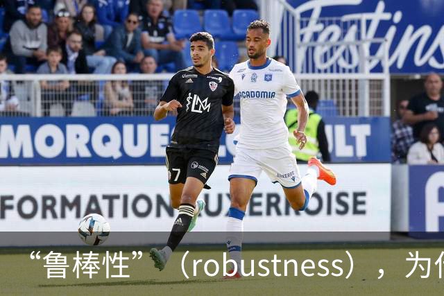 “鲁棒性”（robustness），为什么是糟糕的翻译？