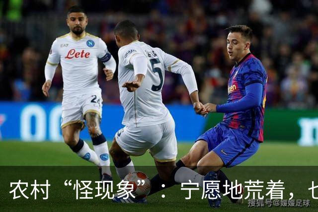 农村“怪现象”：宁愿地荒着，也不种粮食，把专家气够呛，咋回事