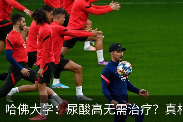 哈佛大学：尿酸高无需治疗？真相可能让人大吃一惊，建议了解！