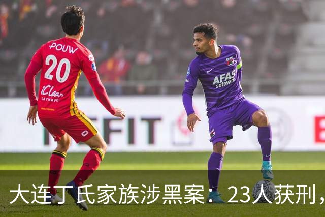 大连丁氏家族涉黑案：23人获刑，涉案资产2.05亿元（2019）