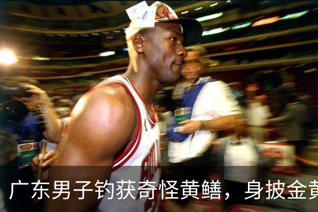 广东男子钓获奇怪黄鳝，身披金黄蟒纹，网友：快放生！准备化蛟了！
